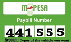 Paybill number for Eliners Tours & Car Hire
