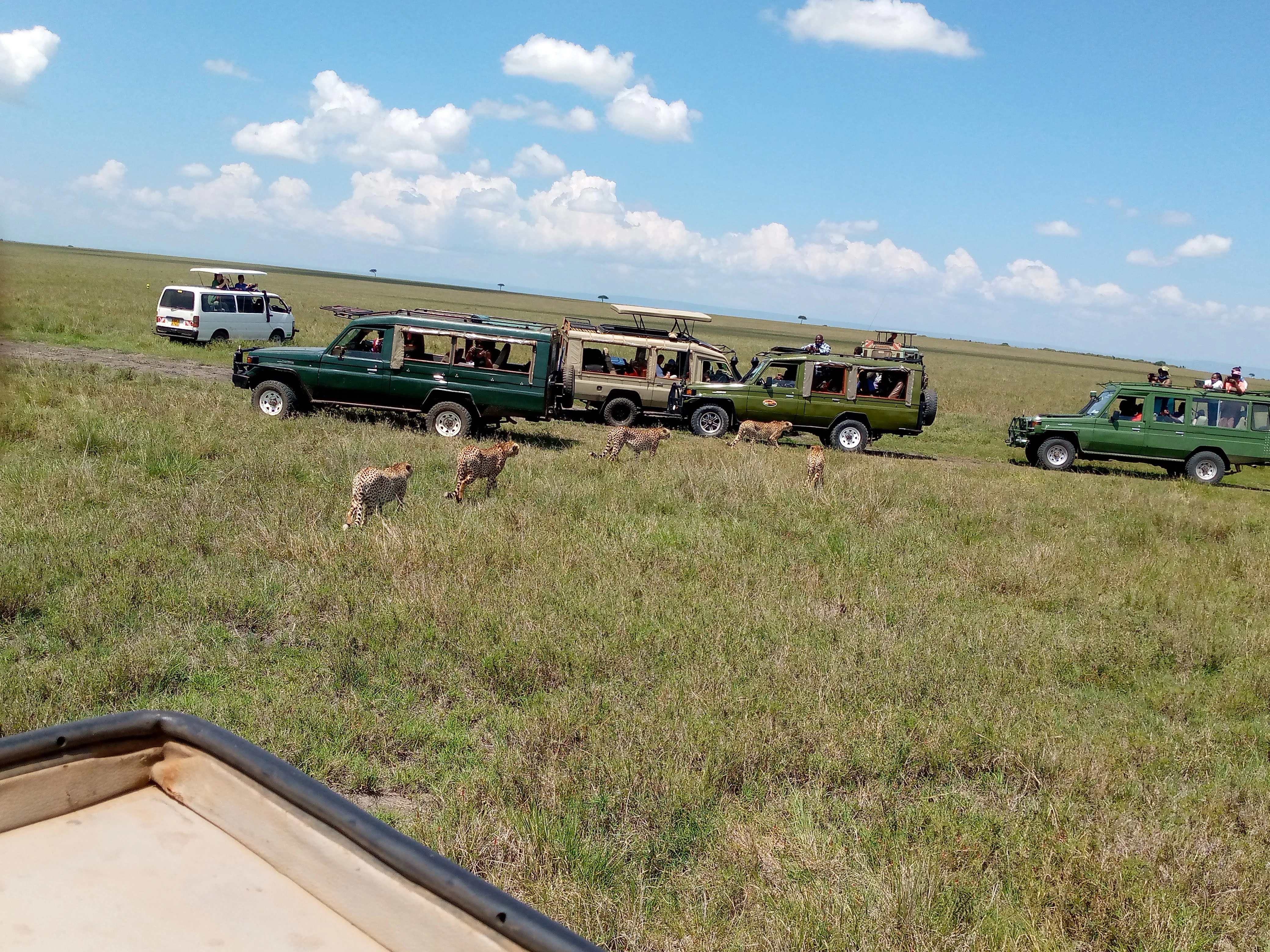 4x4 Land Cruiser safari vehicle for Maasai Mara safari from Eldoret